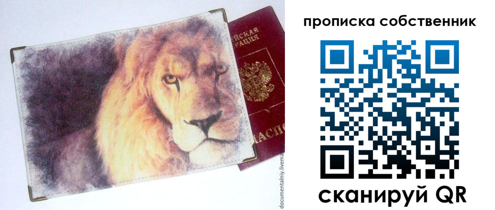 временная прописка в Калмыкии